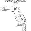 Toco Toucan Bird Coloring Page : Coloring Sun In 2021 bestimmt für Coloriage Dessin Toucan