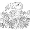 Toucan Coloriage - Coloriages Animaux Du Monde - Les mit Coloriage Dessin Toucan