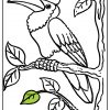 Toucan - Oiseaux verwandt mit Coloriage Dessin Toucan