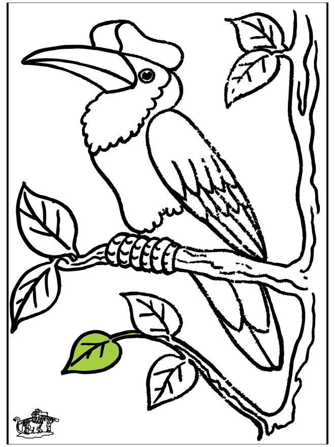 Toucan - Oiseaux verwandt mit Coloriage Dessin Toucan