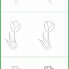 Tulpen Zeichnen In 12 Schritten | Malen Lernen - Talu.de verwandt mit Leicht Kinder Bilder Malen