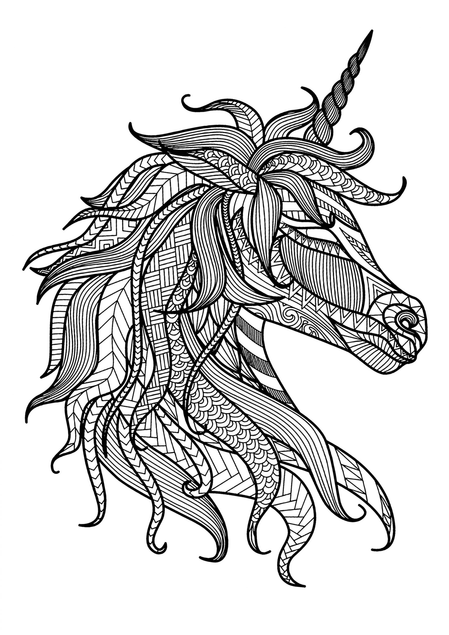 Unicorn Head - Unicorns Adult Coloring Pages in Coloriage Unicorn Dessin
