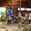 Urlaub Auf Dem Bauernhof In Bayern - Bayerischer Wald über Bauernhof Kinder Bilder