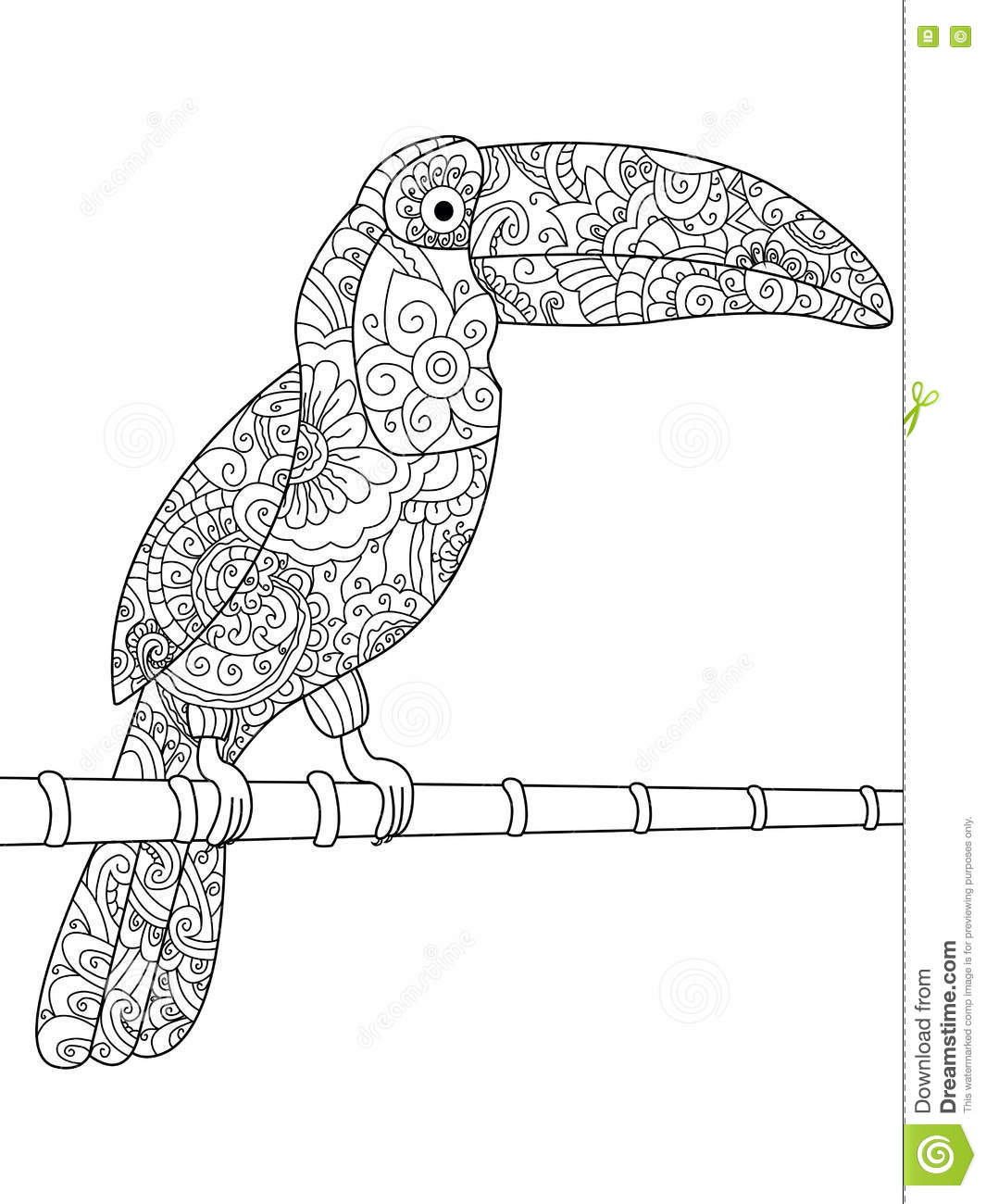 Vecteur De Livre De Coloriage De Toucan Pour Des Adultes bei Coloriage Dessin Toucan