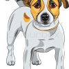 Vector Sketch Dog Jack Russell Terrier  | Stock Vector bei Dessin Coloriage Jack Russel