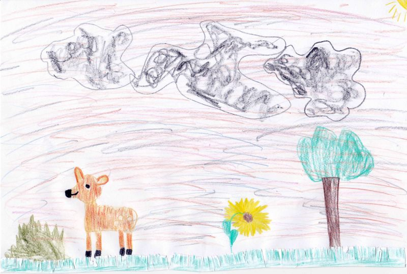 Wald- Und Wildtiere in Kinderbilder 5 Jahre