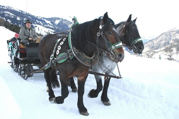 Winterurlaub Mit Pferdeschlittenfahrt - Torbauer´s bei Bilder K