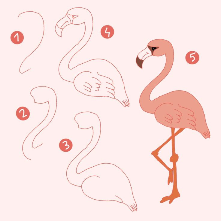7 Flamingos Zeichnen Schritt-Für-Schritt - Auch Für Kinder Und für Kinder Bilder Malen Einfach,