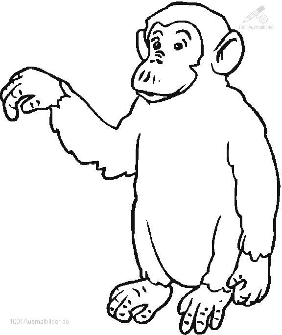 Affe Ausmalbild - Ausmalbilder Für Kinder | Monkey Coloring Pages bestimmt für Kinder Bild Affe