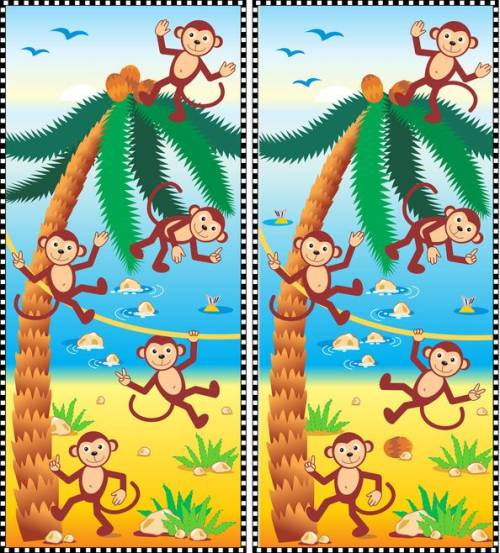 Affen für Bilderrätsel Kinder 7 Jahre
