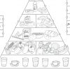 Arbeitsblätter Quiz Gesunde Ernährung Zum Ausdrucken - Worksheets ganzes Kinder Bilder Quiz