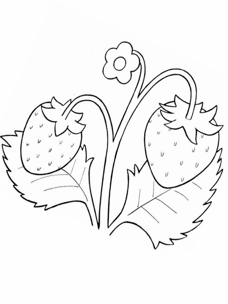 Ausmalbilder, Malvorlagen – Erdbeere Kostenlos Zum Ausdrucken | Märchen