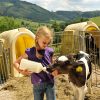 Bauernhofurlaub Und Landurlaub In Sachsen: Familienurlaub mit Kinder Bilder Österreich
