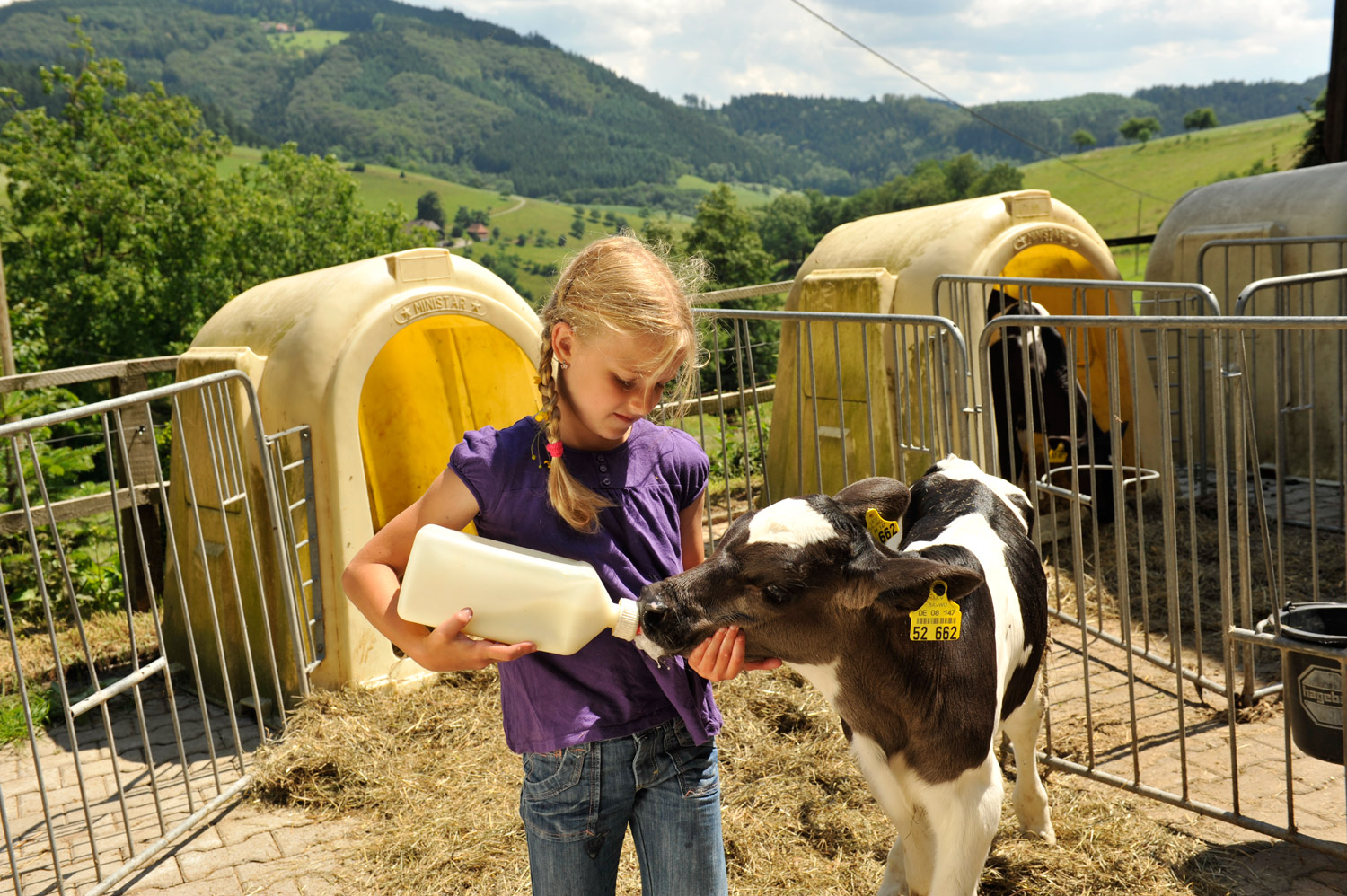 Bauernhofurlaub Und Landurlaub In Sachsen: Familienurlaub mit Kinder Bilder Österreich