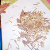 Bildungsprozessplanung - Petitini Kinderkrippe, München verwandt mit Tagesroutine Kinder Bilder