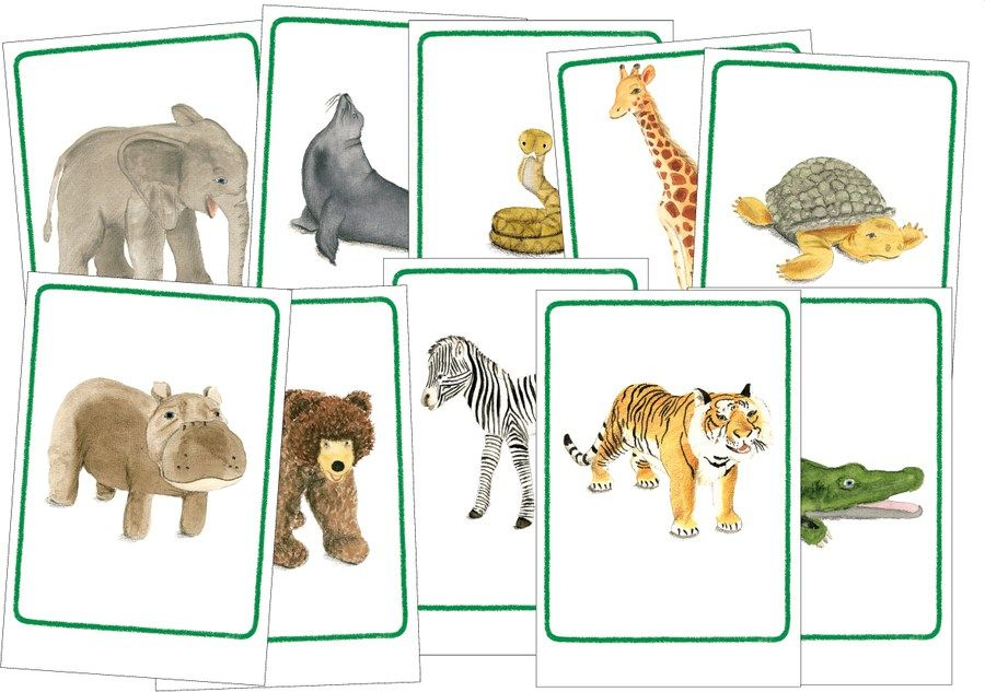 Die Großen Bild- Und Wortkarten | Grundschulkönig, Bildkarten für Kinderbilder Tiere