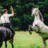 Die Pferde - Hinter Den Kulissen - Armans Geheimnis - Tv - Kinder mit Kinder Bilder Pferde