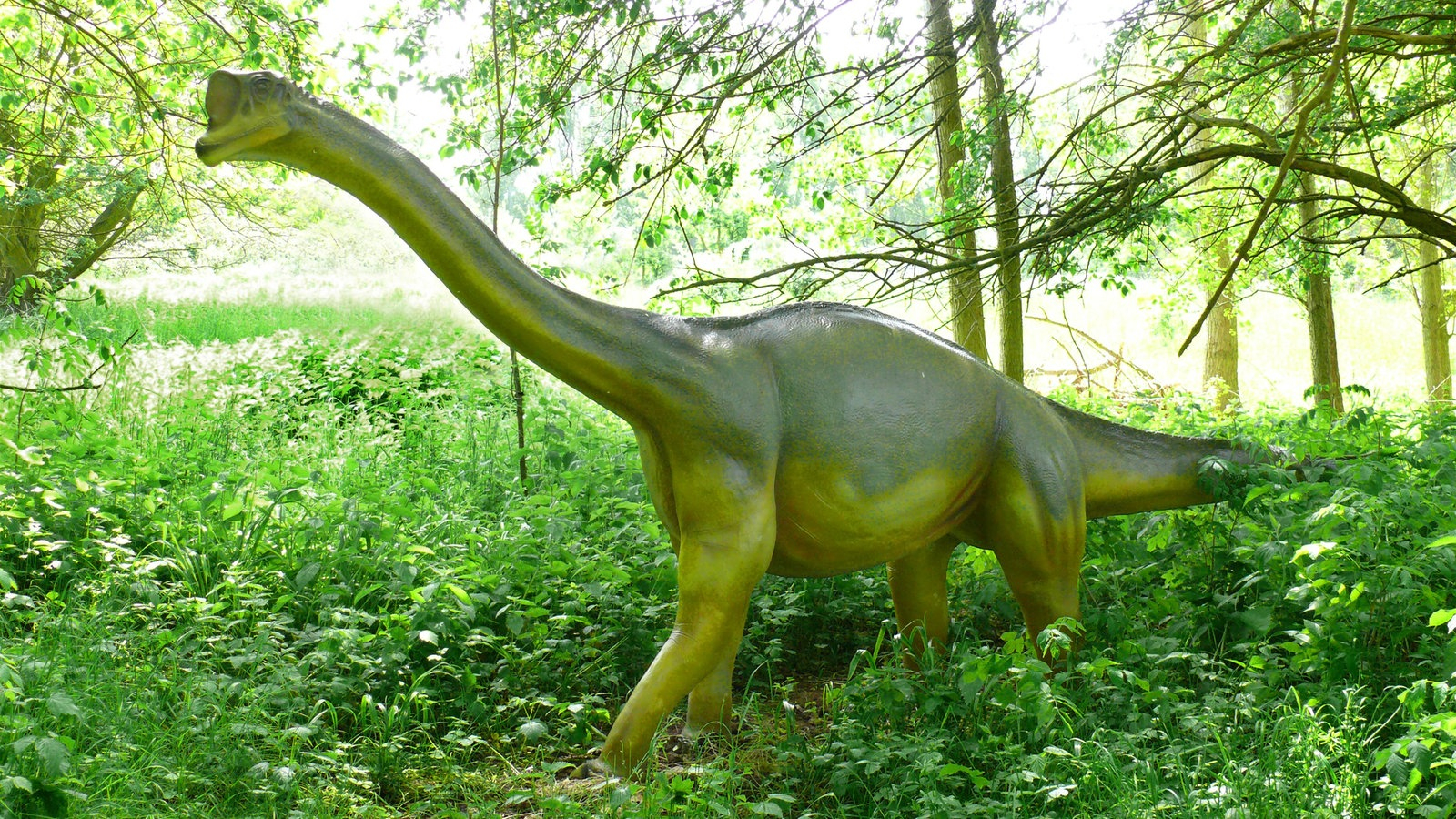 Dinosaurier: Dinosaurier In Deutschland - Urzeit - Geschichte - Planet in Dinosaurier Kinder Bilder