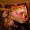 Dinosaurier-Show In Der Stadthalle: Datteln: Dinos Kommen Nach Datteln verwandt mit Dinosaurier Kinder Bilder
