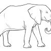 Elefanten Malvorlagen Kostenlos Zum Ausdrucken - Ausmalbilder Elefanten bestimmt für Kinder Bilder Elefant
