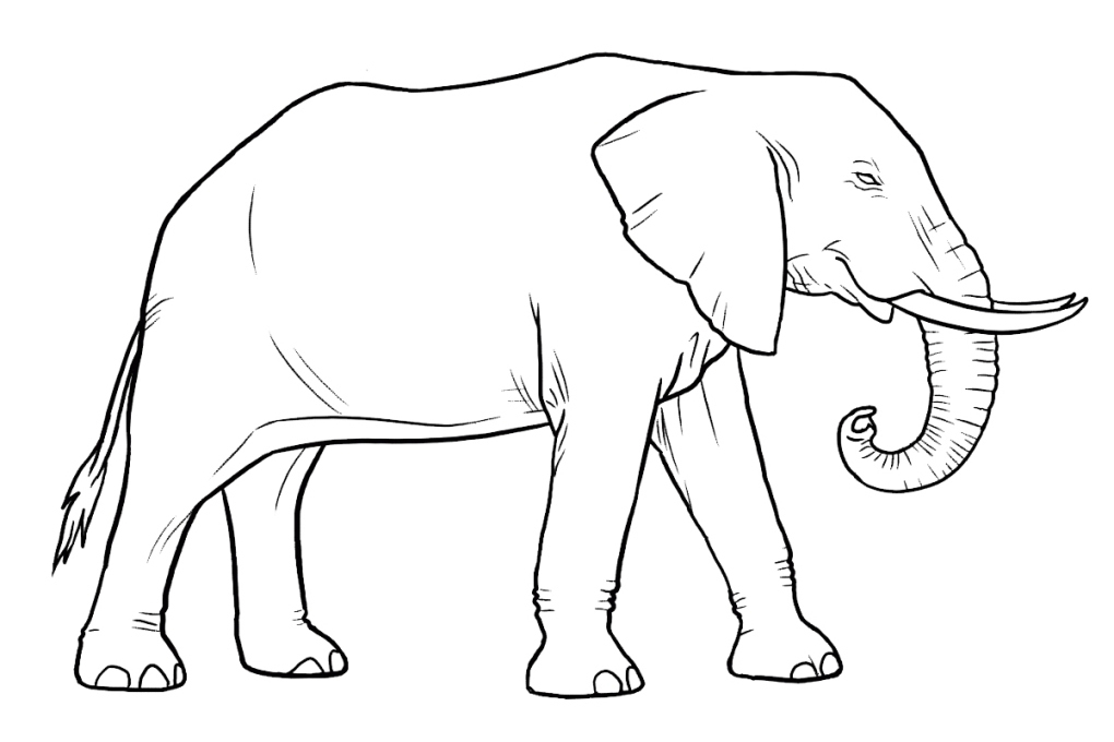 Elefanten Malvorlagen Kostenlos Zum Ausdrucken - Ausmalbilder Elefanten bestimmt für Kinder Bilder Elefant