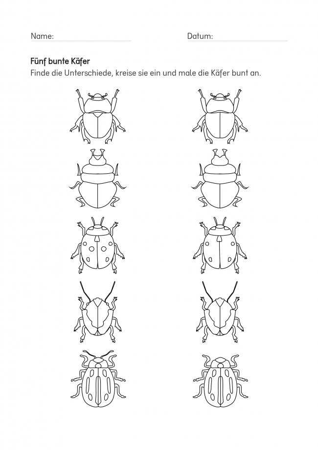 Fünf Bunte Käfer: Unterschiede Suchen Und Finden | Fehlerbilder bei Kinder Bilder Unterschiede Finden