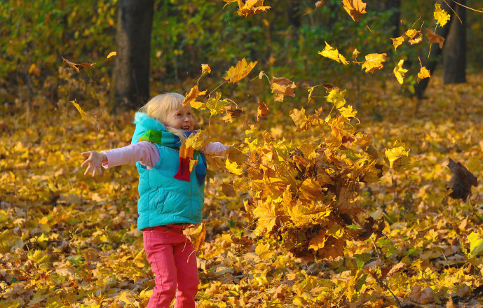 Herbstspiele - Kinderspiele-Welt.de innen Kinder Bilder Wald