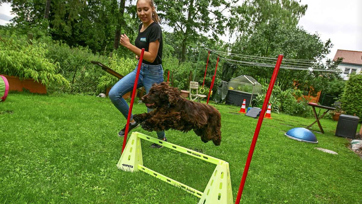 Hunde - Aktuelle Themen, Nachrichten &amp; Bilder - Stuttgarter Zeitung innen Ängstliche Kinder Bilder