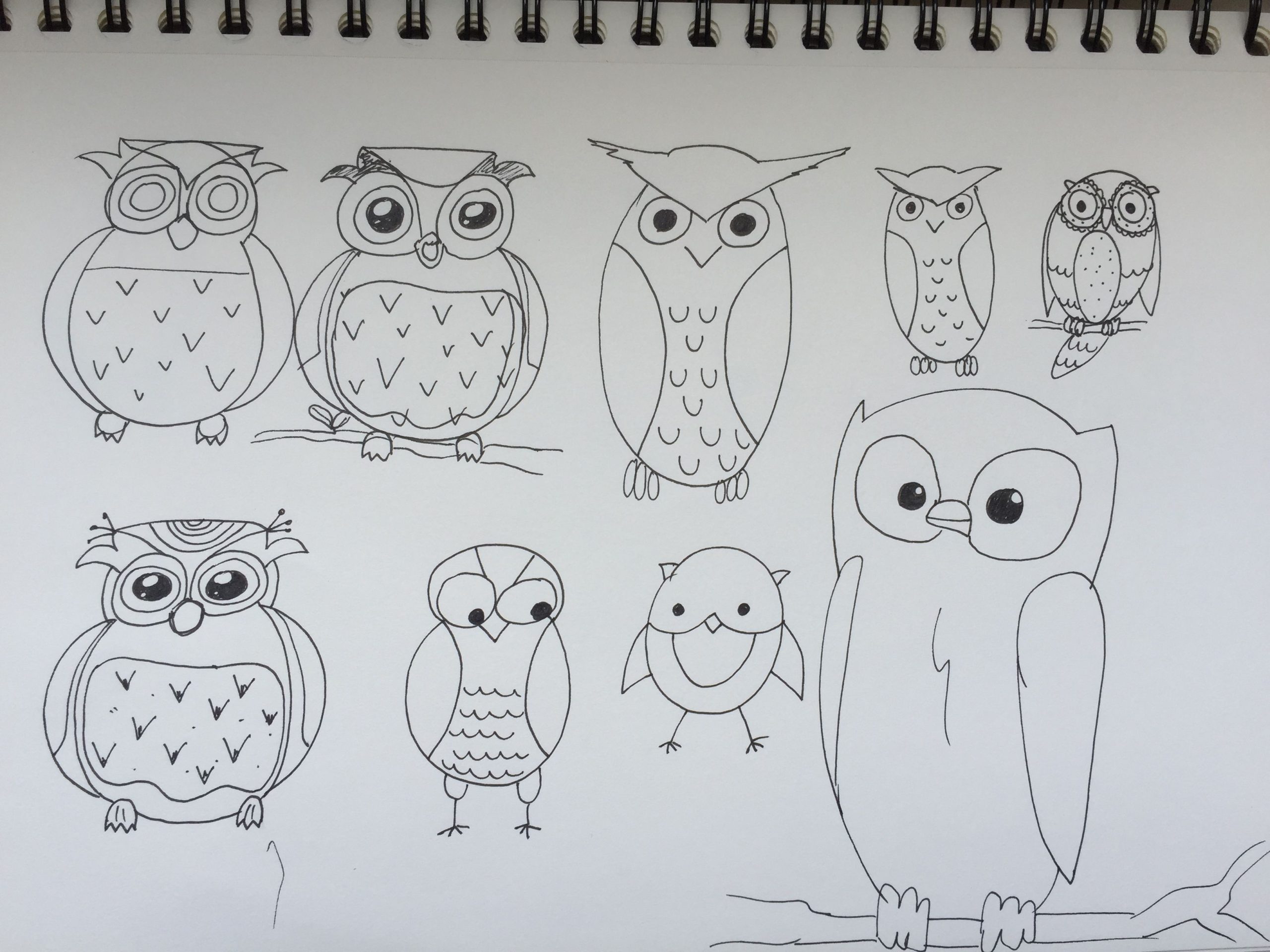 In 10 Minuten 6 Niedliche Eulen Zeichnen - Nur So Zum Spaß - Creatipster für Kinder Bilder Leicht