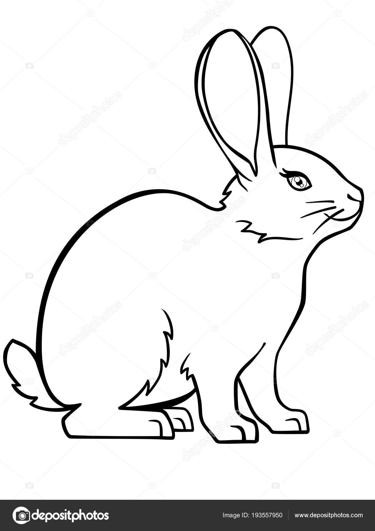 Kaninchen Hase Lineare Zeichnung Eines Hasen Vorlage Für Färbung bestimmt für Kinder Bild Hase