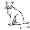 Katze Zeichnen Lernen - Übung Mit Einfachen Formen [Video] | Katze bestimmt für Bilder Zum Nachzeichnen Für Kinder,