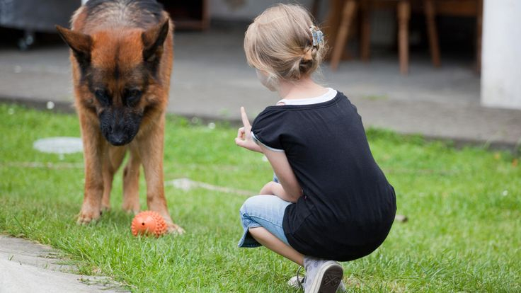 Kind Und Hund: Sechs Regeln, Die Jeder Kennen Sollte | Hunde Und Kinder mit Ukraine Kinder Bilder