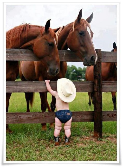 Kind Und Pferde | Cowboy Baby, Kinder Tiere, Schöne Pferde über Kinder Bilder Pferde