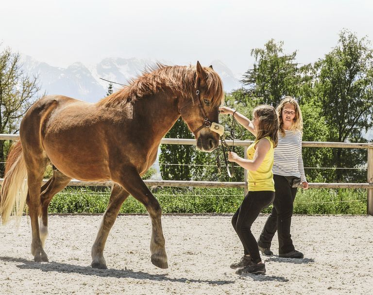 Kinder Bilden Pferde Bis Zur Hohen Schule Aus: Kinder, Das Ist Hohe ganzes Kinder Bilder Binnen Und Pferde