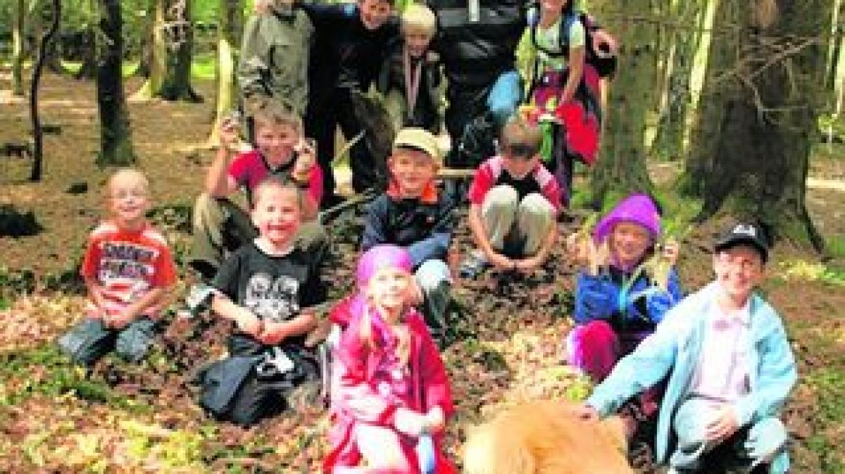 Kinder Entdecken Den Wald | Wertinger Zeitung bestimmt für Kinder Bilder Wald
