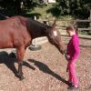 Kinder &amp; Pferde in Kinder Bilder Binnen Und Pferde