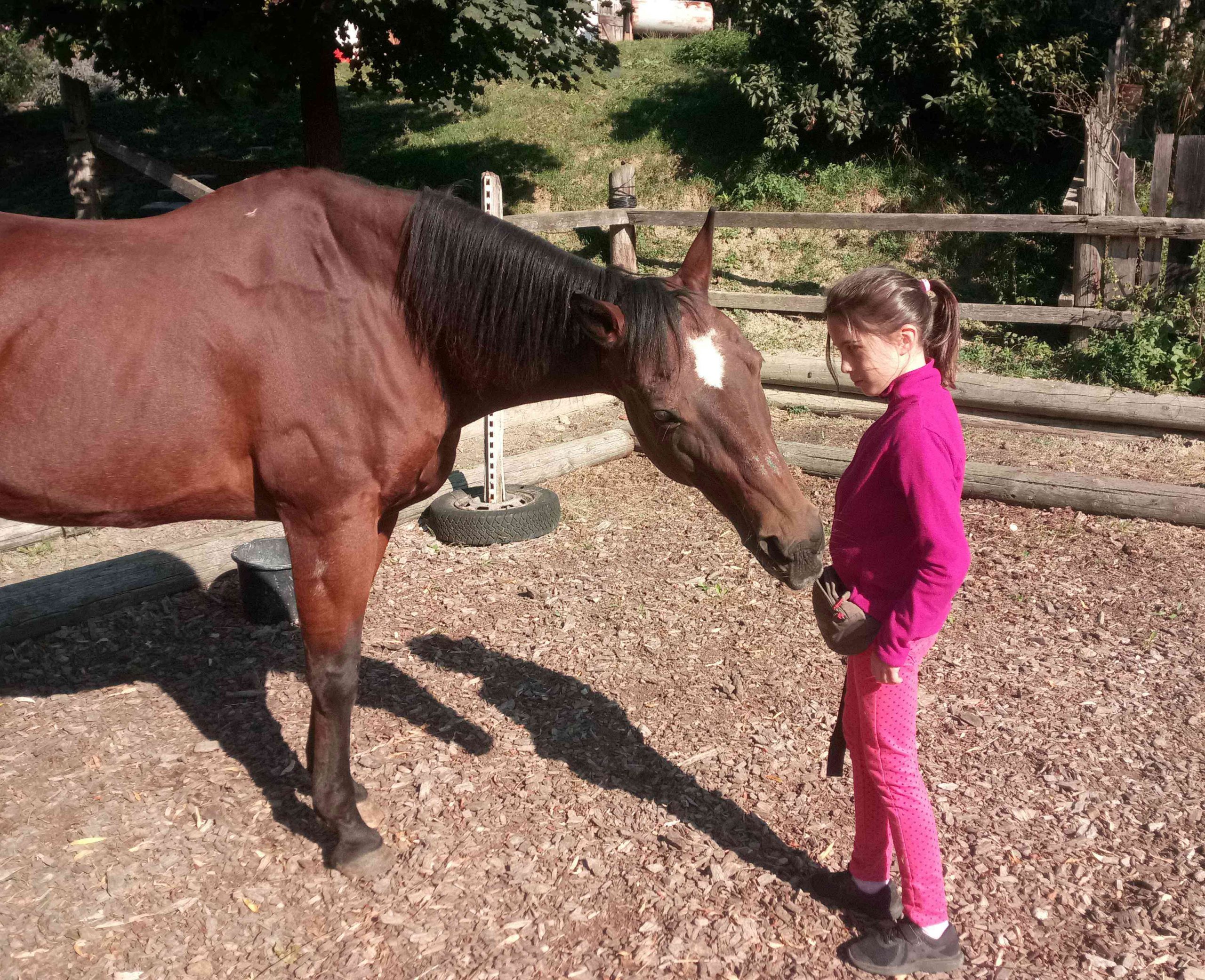 Kinder &amp; Pferde in Kinder Bilder Binnen Und Pferde