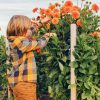 Kinder- Und Tiersichere Pflanzen Für Den Garten: Unsere Top 10 - Garten ganzes Giftige Pflanzen Für Kinder Bilder