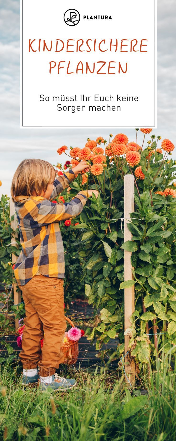Kinder- Und Tiersichere Pflanzen Für Den Garten: Unsere Top 10 - Garten ganzes Giftige Pflanzen Für Kinder Bilder