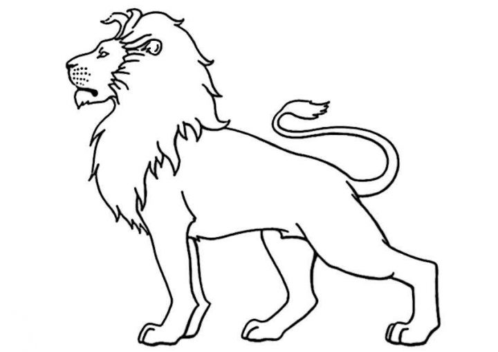 Löwe-8 | Ausmalbilder Malvorlagen verwandt mit Kinder Bilder Löwe