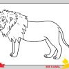Löwe Zeichnen 4 Schritt Für Schritt Für Anfänger &amp; Kinder - Zeichnen bestimmt für Kinder Bilder Löwe