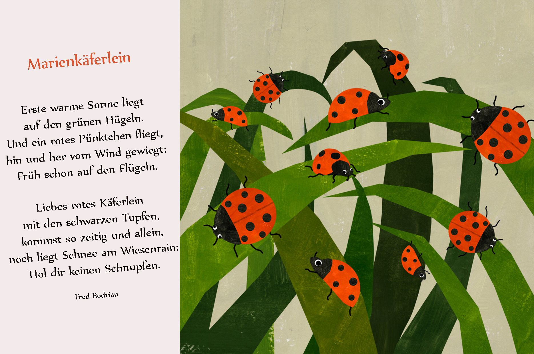 Marienkäfer Gedicht Reim Kindergarten Erzieherin Kita Frühling Sommer innen Reime Kinder Bilder