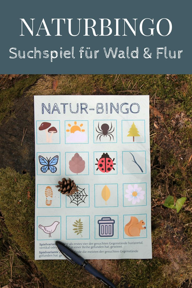 Mit Kindern Die Natur Entdecken: Naturbingo - Ein Suchspiel Für Wald über Kinder Bilder Ohne Werbung,