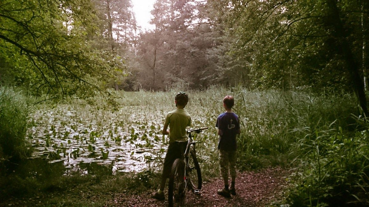 Nachts Im Wald - In Der Natur Unterwegs | Wald, Natur, Erlebnis für Kinder Bilder Wald