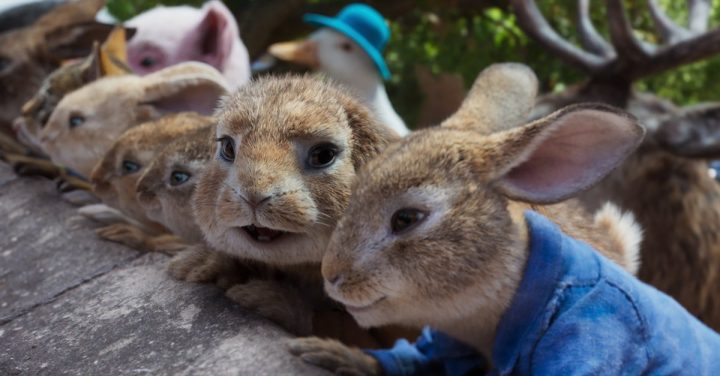 Peter Hase 2 - Ein Hase Macht Sich Vom Acker · Film 2021 · Trailer · Kritik für Ein Herz Für Kinder 2021 Bilder