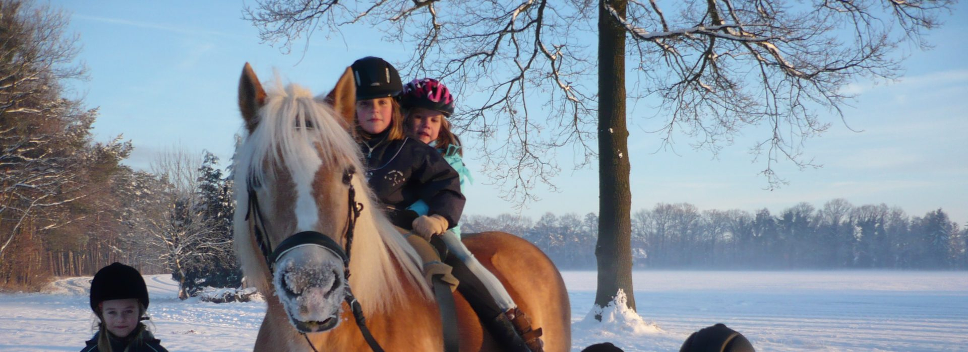 Pferde Bewegen Kinder - Die Bewegungsförderung Auf Und Mit Dem Pferd ganzes Kinder Bilder Pferde