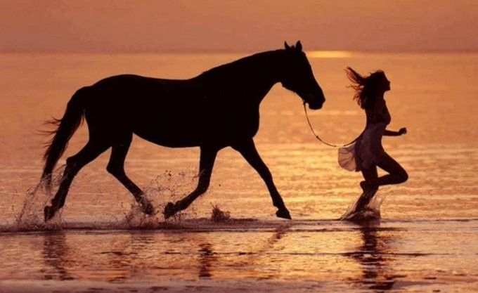 Pin Von Sufyan Auf Tiere Und Kinder | Pferde, Pferde Fotografie, Pferde in Kinder Bilder Binnen Und Pferde