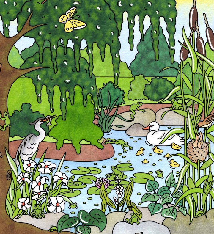 Rätselspaß - Bilderrätsel Für Kinder ganzes Bilderrätsel Kinder