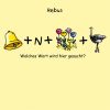 Rebus 1-12 - Blumen | Kindermagazin Mit Kostenlosen Rätseln, Spielen mit 4 Bilder 1 Wort 9 Buchstaben Kinder