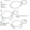Schildkröte Zeichnen Lernen - Eine Anleitung In 6 Schritten über Zeichen Bilder Für Kinder,